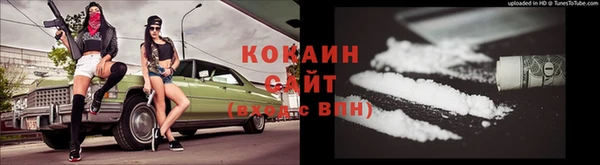 не бодяженный Алексин