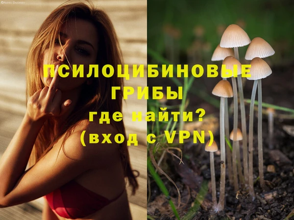 не бодяженный Алзамай
