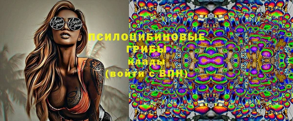 не бодяженный Алексин