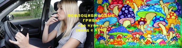 не бодяженный Абаза