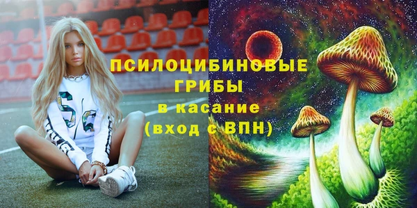 не бодяженный Алексин
