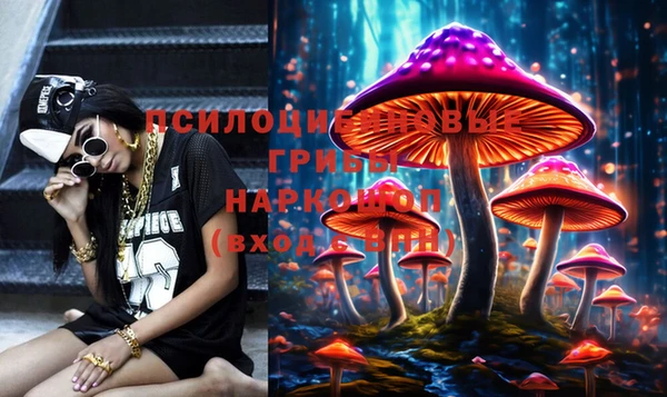 не бодяженный Алексин